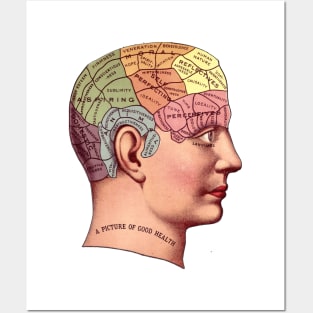 A Picture of Good Health - Vintage Brain Mapping Illustration Posters and Art